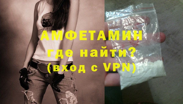 молекула духа Кулебаки