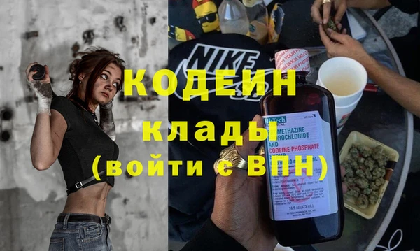 метадон Алексин