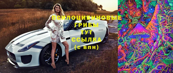 метадон Алексин