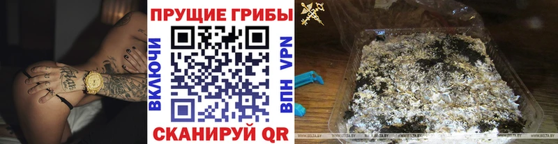где купить наркотик  Одинцово  Галлюциногенные грибы мухоморы 