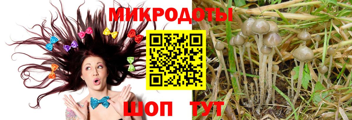 Галлюциногенные грибы прущие грибы  Вход с VPN  Одинцово  Галлюциногенные грибы мицелий 