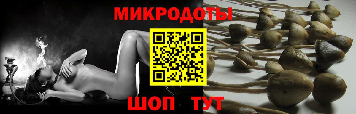 Галлюциногенные грибы мухоморы Одинцово